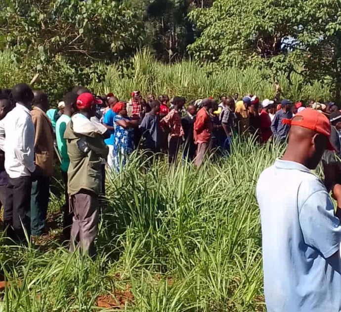 A body of missing man was found dumped in a sugarcane plantation.
